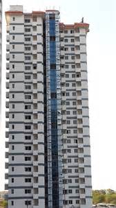 naesingi 定義