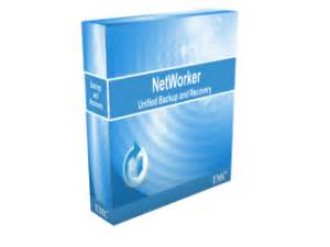 Definitions of networker