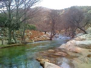 definisyon nan nimfaia