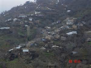 definisyon nan nimfaia