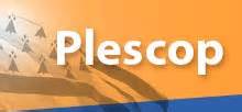 diffiniad o plescop