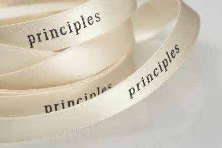 визначення principlesa