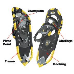 Definice snowshoeing