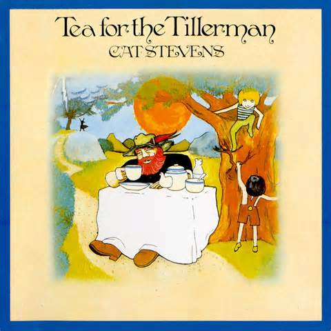 Definizione di tillerman
