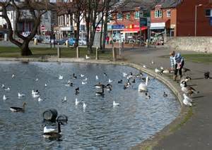 Definitions of askern