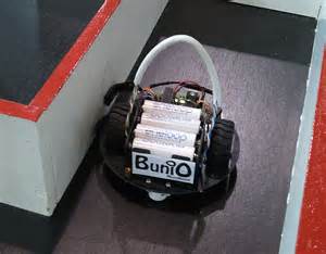 Definizione di bunio