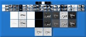 convolutional 定義