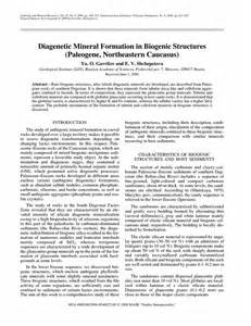 Definitions of diagenetic