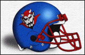 Definitions of pahokee