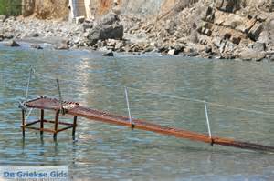 Definitions of sarchos