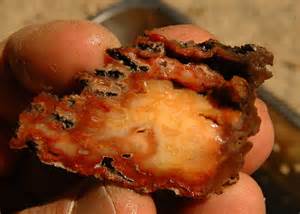definisyon nan silicification