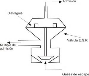 Definitions of valvul