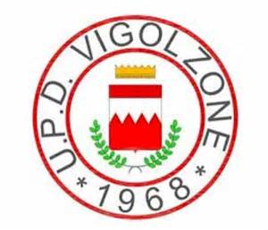 Definitions of vigolzone